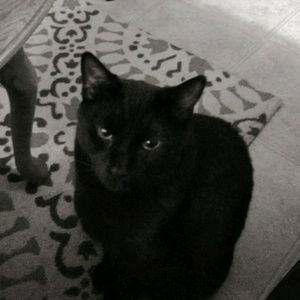 Meet your Posher, Angela